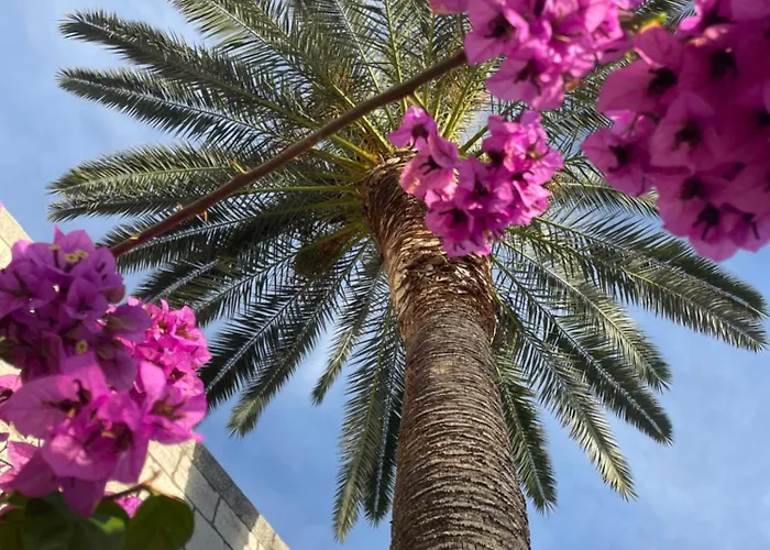 Old Town Watch&c Apartment *