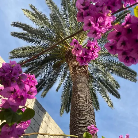 Old Town Watch&c شقة *